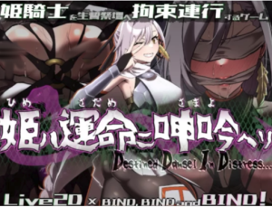 【ARPG/恶堕/动态] 姬在命运中呻吟 ver1.0. PC-春日ACG