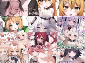 【LIVE2D/动态/触摸/CV】狐狐部屋 13部合集  安卓-春日ACG