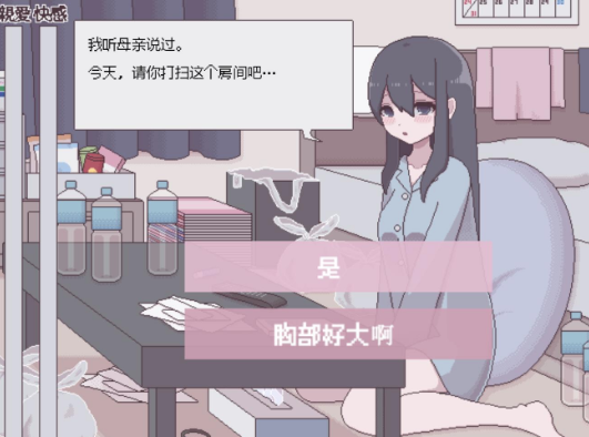 图片[2]-【互动SLG/像素/触摸/动态/养成/CV/汉化】垃圾屋的公主 ～重生or堕落H模拟 安卓盖世+PC-春日ACG