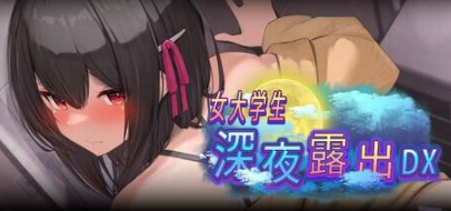 图片[2]-【神作/RPG/动态/官中/露出/CV】女大学生深夜露出 DX 安卓joi+PC-春日ACG