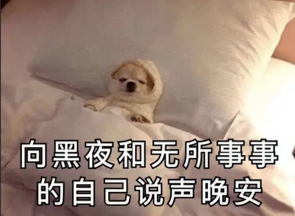 原来大家都还没休息呀 mumuwp打不开记得清理下缓存或者换一个浏览器-春日ACG